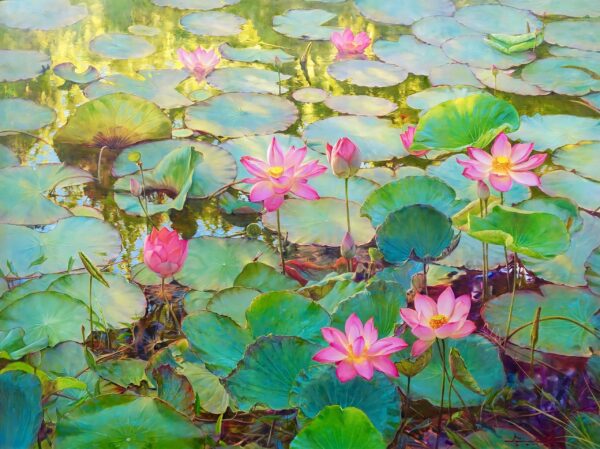 Ninfas de Agua y Lotos – Somchai Sawangsri Art Gallery Alpha House