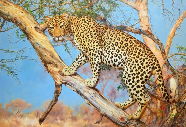 Leopardo en un Árbol – 160 x 110 cm Art Gallery Alpha House