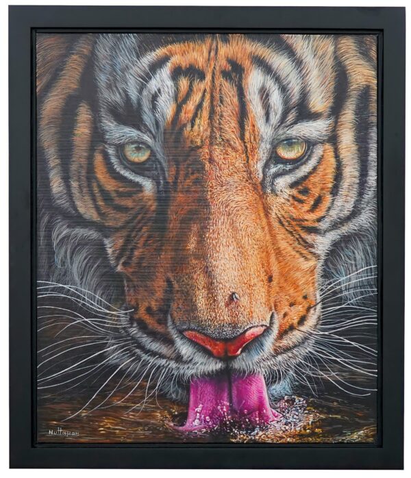 Tigre bebiendo agua – 50 X 60 cm Art Gallery Alpha House